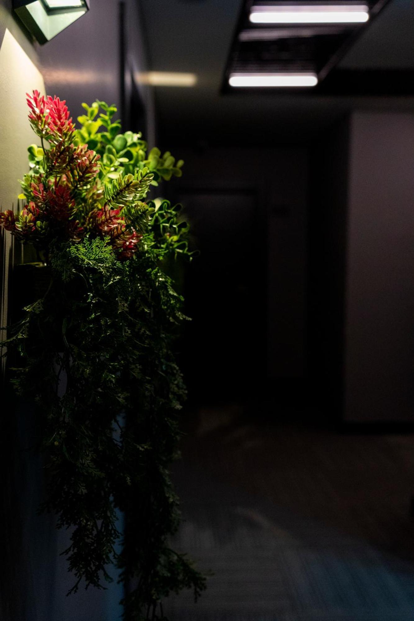Brandroom Hotel 伊斯坦布尔 外观 照片